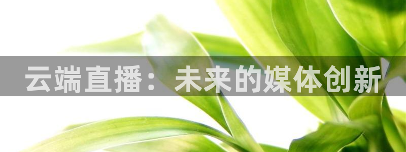 yy4480高清影院播放器
