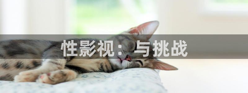 yy4480新视觉影院